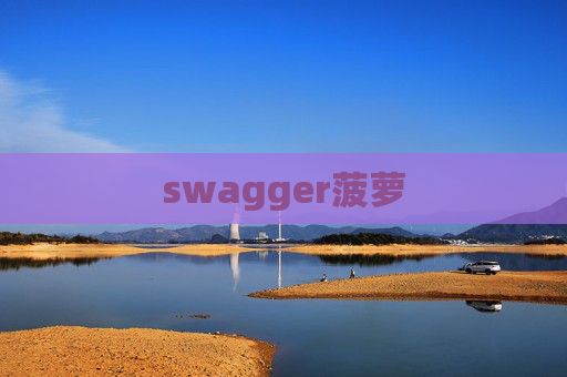 swagger菠萝 swagger菠萝